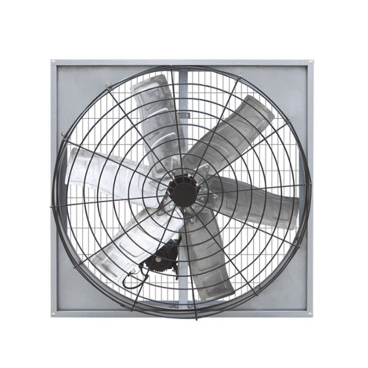 Jak vybrat účinný pásový ventilátor pro krávy pro hospodářská zvířata a potřeby průmyslového větrání?